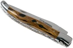 Laguiole En Aubrac 12cm Double Plates, Cactus Poncé Main, L0712CA51-FSI1 -Nitecore Soldes Boutique AUL0712CA51 FSI1 04 laguiole en aubrac v202010