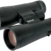 Bushnell Engage EDX 12x50 Jumelles