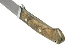 Bark River Classic Drop Point Hunter CPM S45VN Buckeye Burl, Couteau Fixe -Nitecore Soldes Boutique BRK02 176BB 04 barkriver