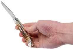 Case Trapper Amber Jigged Bone, 00164, 6254 SS Couteau De Poche 19 Case Trapper Amber Jigged Bone, 00164, 6254 SS Couteau De Poche -Nitecore Soldes Boutique CE164 09 case ce164 09