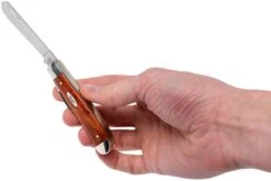 Case Mini Trapper Smooth Chestnut Bone, 28700, 6207 SS Couteau De Poche -Nitecore Soldes Boutique CE28700 09 case ce28700 09