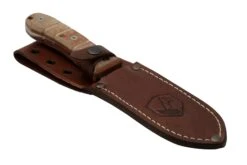 Condor Tactical P.A.S.S. Chute Knife, Couteau Fixe -Nitecore Soldes Boutique CTK1827 105 4C 06 condor