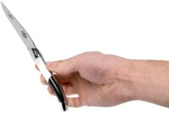 Forge De Laguiole Airbus A350 1211 INAIRBUS Couteau Laguiole 16 Forge De Laguiole Airbus A350 1211 INAIRBUS Couteau Laguiole -Nitecore Soldes Boutique LA1211INAIRBUS 07 forge de laguiole