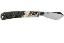 Rough Ryder Buckshot Bone Cotton Sampler RR1728 Couteau De Poche -Nitecore Soldes Boutique RY1728 02 rough ryder