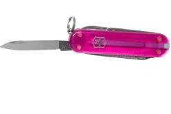 Victorinox Classic SD Translucent Colors, Cupcake Dream 0.6223.T5G Couteau De Poche 9 Victorinox Classic SD Translucent Colors, Cupcake Dream 0.6223.T5G Couteau De Poche -Nitecore Soldes Boutique VT0 6223 T5G 03 victorinox