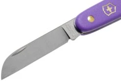 Victorinox Couteau Fleuriste 3.9050.22B1 Violet -Nitecore Soldes Boutique VT3 9050 22B1 03 victorinox